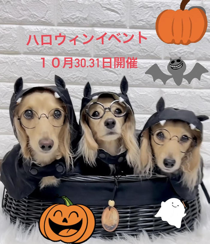 1030-1031_ハロウィンイベント.jpg